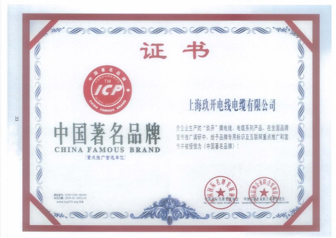 008PG国际中国著名品牌证书